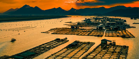 千年之前海產(chǎn)品就已經(jīng)在當(dāng)時(shí)社會(huì)盛行