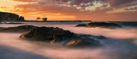 肉質(zhì)鮮美的一種海產(chǎn)品，名字十分有特色